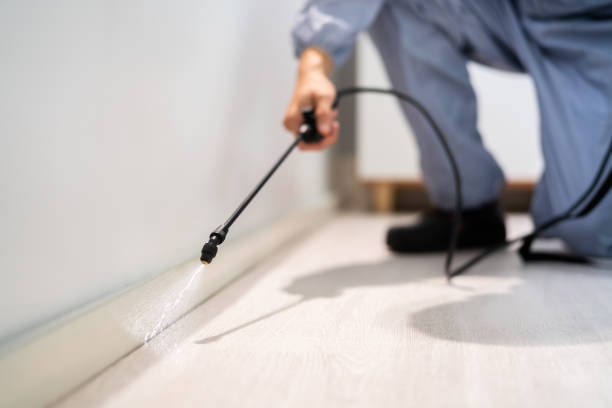 Professional exterminator conducting IPM assessment in Oak Grove