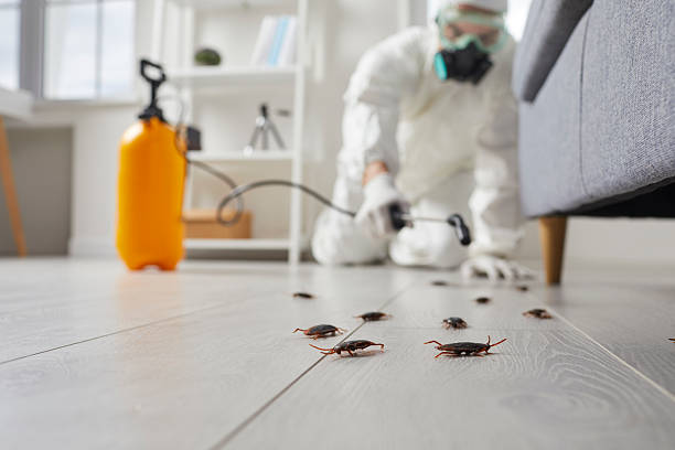 Commercial Rodent Management in Oak Grove